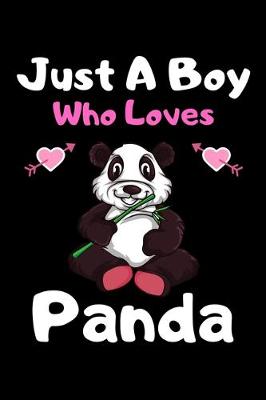 Book cover for Just a boy who loves panda