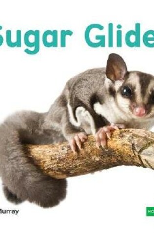 Cover of Sugar Gliders