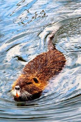 Book cover for Beaver Swimming to Shore Journal