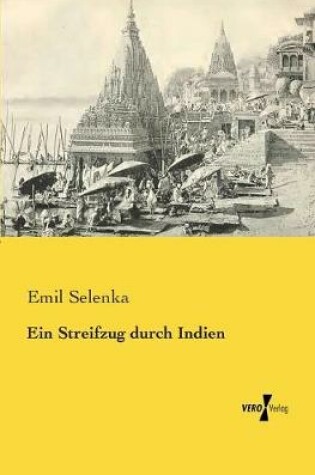 Cover of Ein Streifzug durch Indien