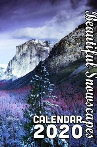 Cover of Beautiful Snowscapes 14-Month Desk Calendar 2020