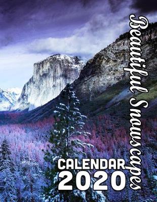 Book cover for Beautiful Snowscapes 14-Month Desk Calendar 2020