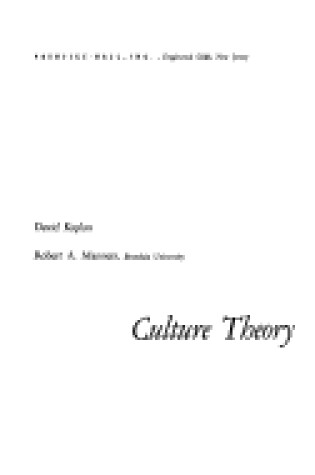 Cover of Culture Theory