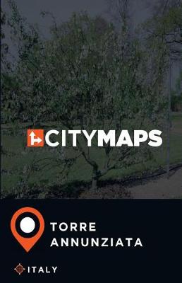 Book cover for City Maps Torre Annunziata Italy