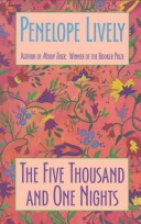 Book cover for The Five Thousand and One Nights