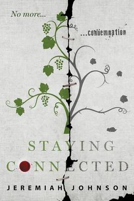 Book cover for Staying Connected