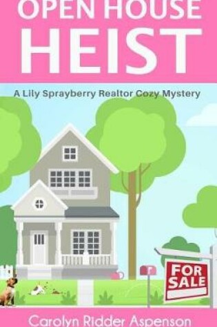 Cover of Open House Heist