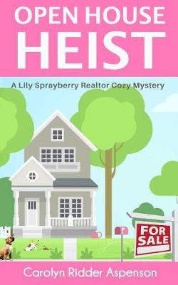 Book cover for Open House Heist
