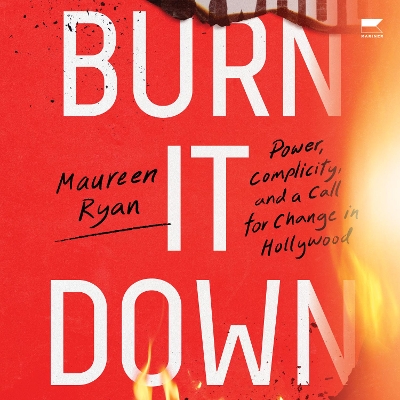 Book cover for Burn It Down