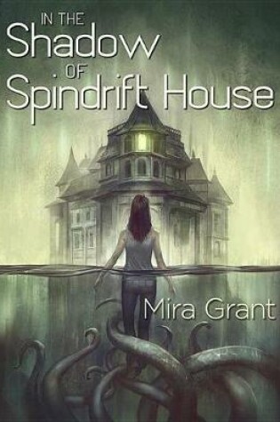 Cover of In the Shadow of Spindrift House
