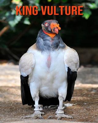 Book cover for King Vulture