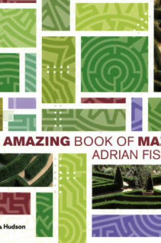 Cover of Amazing Book of Mazes