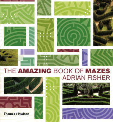 Book cover for Amazing Book of Mazes