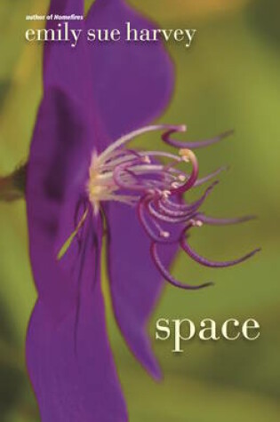 Cover of Space