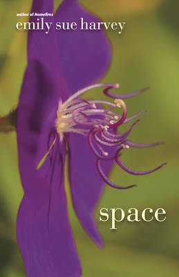 Book cover for Space