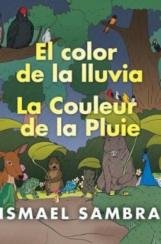 Cover of El Color De La Lluvia