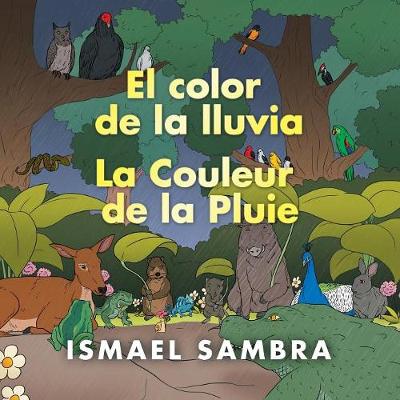 Book cover for El Color De La Lluvia