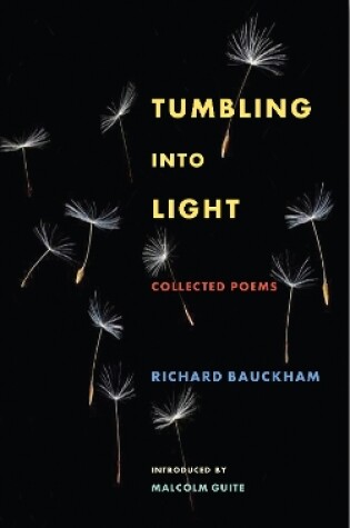 Cover of Tumbling Into Light