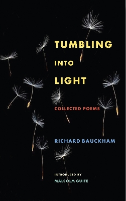 Book cover for Tumbling Into Light