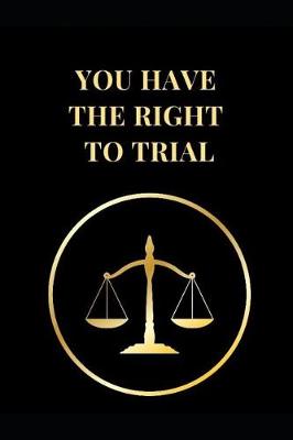 Book cover for You Have the Right to Trial