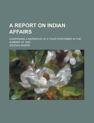 Book cover for A Report on Indian Affairs; Comprising a Narrative of a Tour Performed in the Summer of 1820