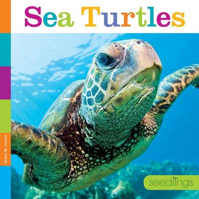 Book cover for Sea Turtles