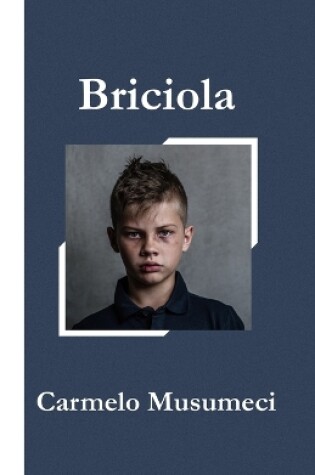 Cover of Briciola
