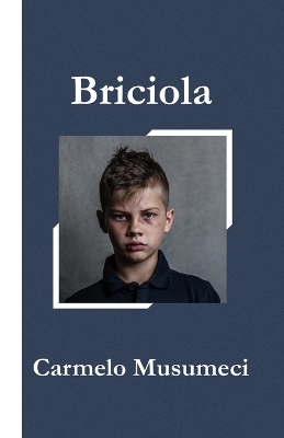 Book cover for Briciola