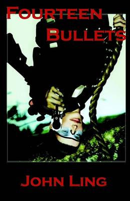 Book cover for Fourteen Bullets
