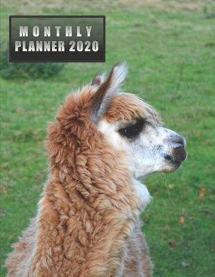 Cover of Monthly Planner 2020