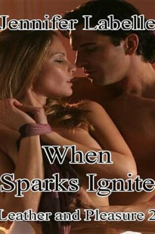 Cover of When Sparks Ignite
