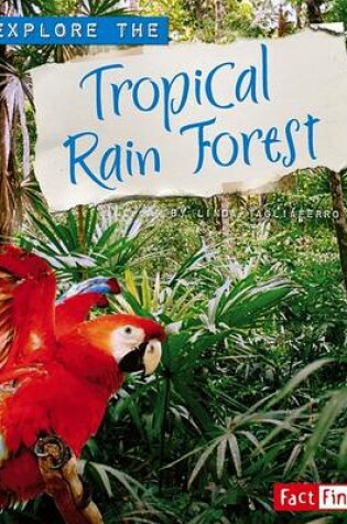 Cover of Explore the Tropical Rain Forest
