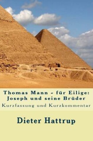 Cover of Thomas Mann - fur Eilige