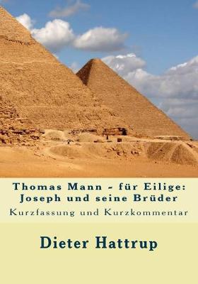 Book cover for Thomas Mann - fur Eilige