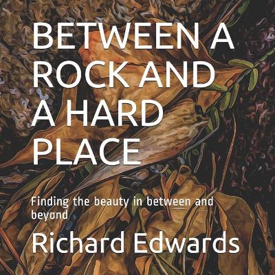 Book cover for Between a Rock and a Hard Place