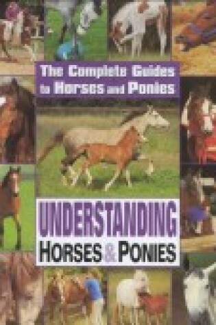 Cover of Understanding Horses and Ponies