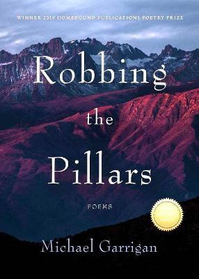 Book cover for Robbing the Pillars