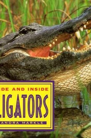 Cover of Outside and inside Alligators