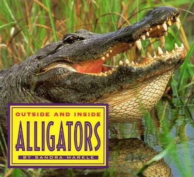 Book cover for Outside and inside Alligators