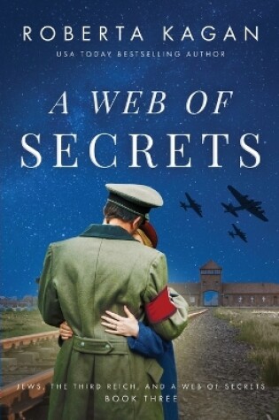 Cover of A Web of Secrets