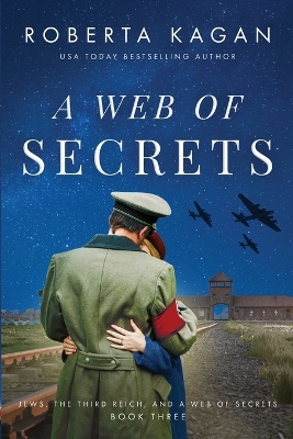 Book cover for A Web of Secrets