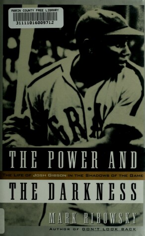 Book cover for The Power and the Darkness