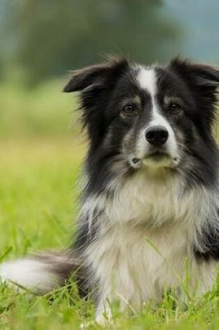 Cover of Beautiful Border Collie Dog Journal