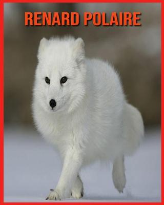 Book cover for Renard Polaire