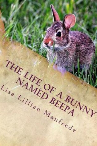 Cover of The Life of a Bunny Named Beepa
