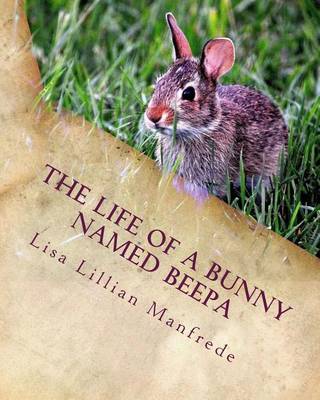 Book cover for The Life of a Bunny Named Beepa