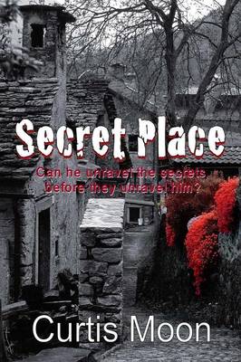 Book cover for Secret Place