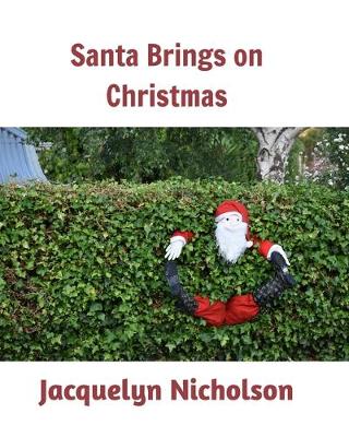 Book cover for Santa brings on Christmas