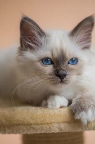 Cover of Cutest Birman Kitten Journal