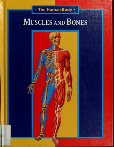 Book cover for Muscle and Bones